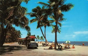 Postcard Crandon Park on Biscayne Key near Miami Florida