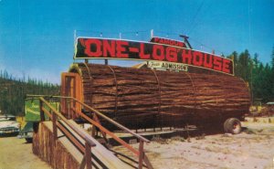 USA Famous One Log House Redwood Tree California Chrome Postcard 02.96