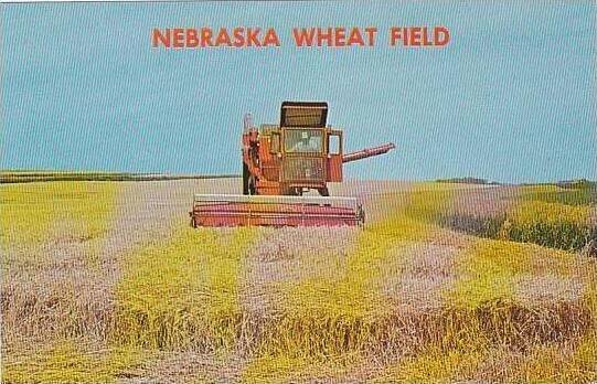 Nebraska Wheat Field