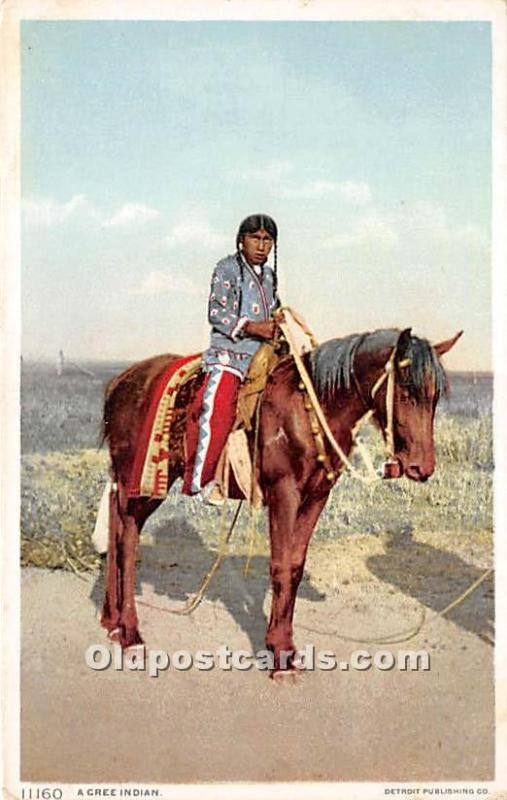 A Cree Indian Indian Unused 