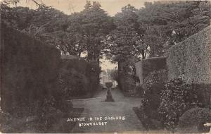 BR81775 avenue inthe grounds stonyhurst   real photo wales