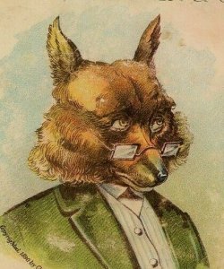 1880 Anthropomorphic Fox M Benjamin & Co Victorian Trade Card Springfield IL