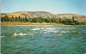 Kooskooskee Clearwater River ID Idaho Lewis & Clark Expedition Postcard H16