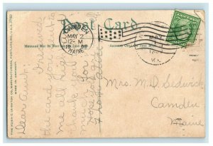 C. 1907 Newport, Maine. Glimpse Of Sebasticook River Postcard P41