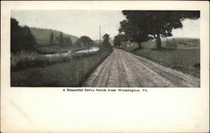 Wilmington Vermont VT Beautiful Drive North c1910 Vintage Postcard