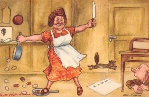 US2582 Husmoders Gymnastik Woman in the Kitchen Cat signed jac edgren  sweden