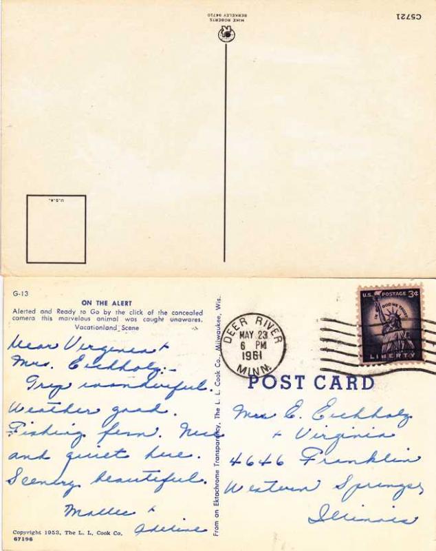 (2 cards) On the Alert - Deer - Buck - Hunting - Animal - pm 1961