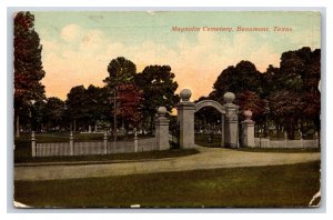 Magnolia Cemetery Beaumont Texas TX DB Postcard U17