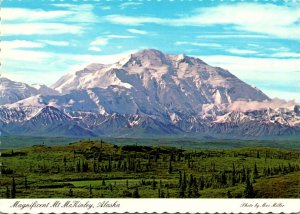 Alaska Mount McKinley The Highest Peak In The U S