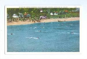 LP70    Santa Catalina Island, California, CA,  postcard, 