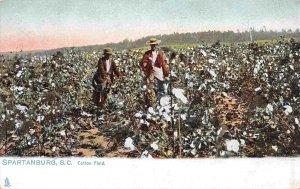 Cotton Field African American Pickers Spartanburg South Carolina Tuck postcard