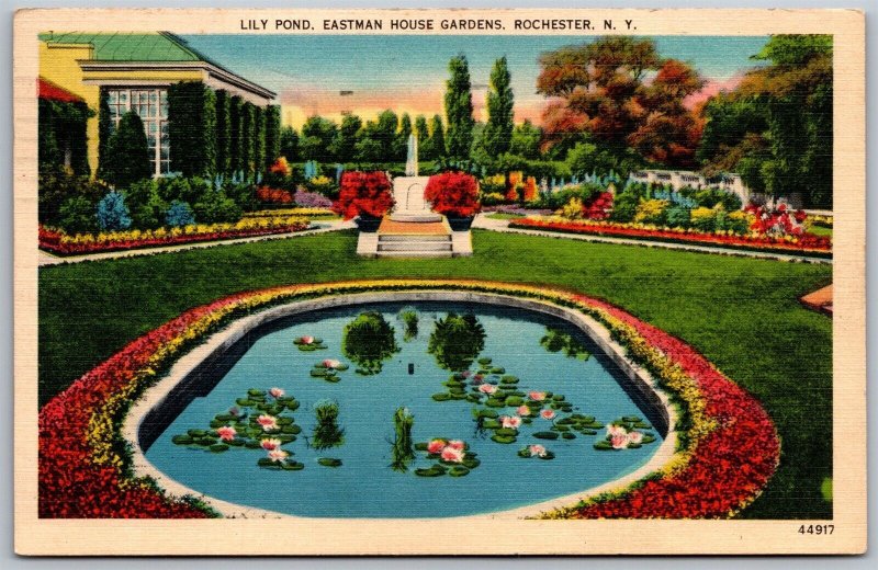 Vtg Rochester New York NY Lily Pond Eastman House Gardens 1940s View Postcard