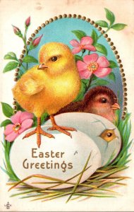Easter Chicks With Easter Egg 1914
