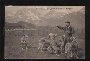 058188 SAINT BERNARD in SIMPLON Vintage PC