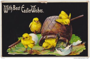 EASTER; With Best Wishes, Chicks playing around a pot, egg shells, 00-10s