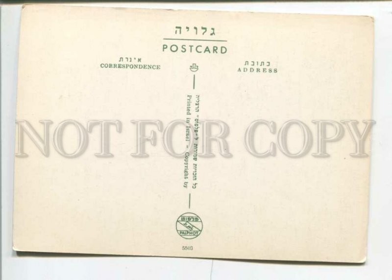 470982 Israel Haifa Old postcard