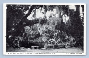 Middleton Place Gardens Benches Charleston South Carolina SC UNP WB Postcard G16