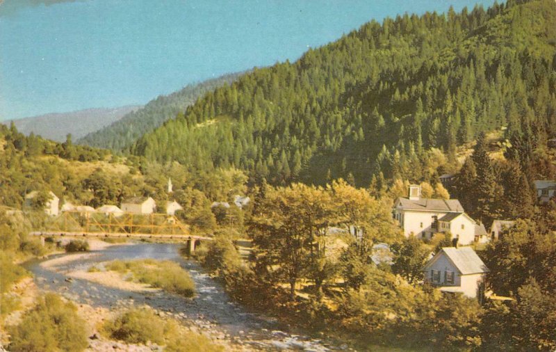 DOWNIEVILLE, CA Union Oil Company Highway 49 76 Gasoline c1950s Vintage Postcard