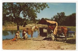 Texas Rangers Noon Camp Lunch Horse Box Float postcard