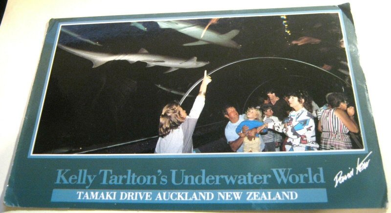 New Zealand Kelly Tarlton's Underwater World Tamaki Drive Auckland - unposted