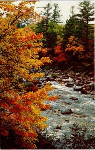 Greetings Palmer Massachusetts Scenic Autumn Landscape River DB Postcard 