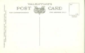 Ireland, Pine Forest, Co Wicklow, early 1900s unused Post...