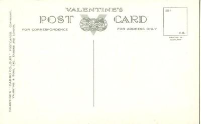 Ireland, Pine Forest, Co Wicklow, early 1900s unused Post...