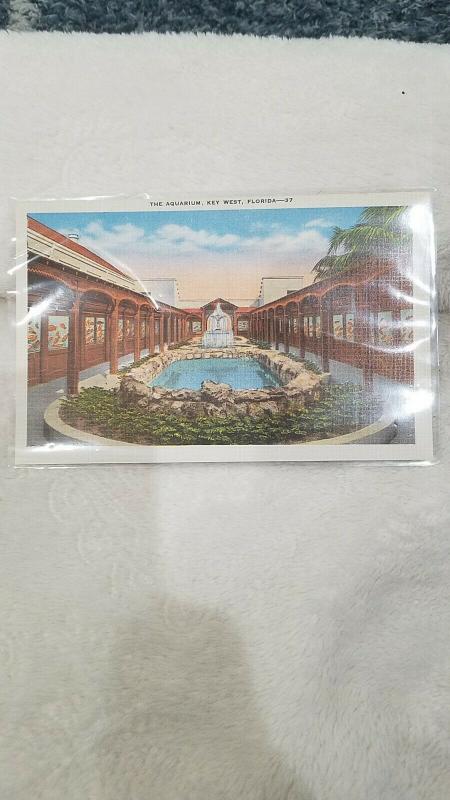 Antique Postcard, The Aquarium, Key West, Florida, - 37