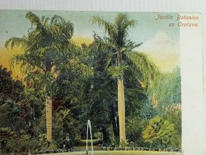 Vintage Postcard 1900's Jardin Botanico en Orotava Spain