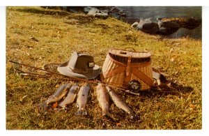 Fishing - Results of a Happy Fisherman