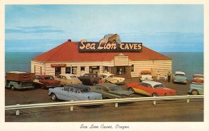 SEA LION CAVES Florence, Oregon Roadside c1950s Chrome Vintage Postcard