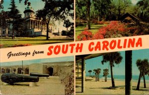 Greetings From South Carolina Split View