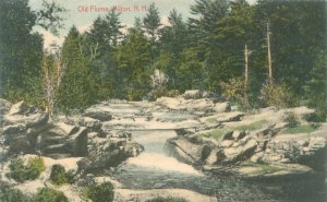 Old Flume Milton New Hampshire Litho Postcard Unused, J H Willey Pub.