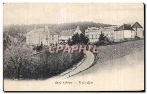 Old Postcard DreiAehren Trois Epis