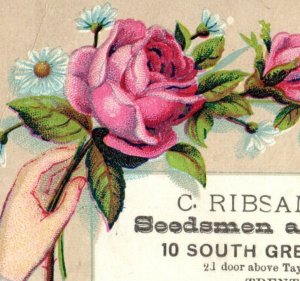 1880s C. Ribsam & Son Seedsmen & Florists P4