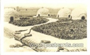 Real Photo Snake Farm Sao Paulo Brazil Unused 