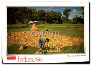 Postcard Modern Indonesia Tana Toraja