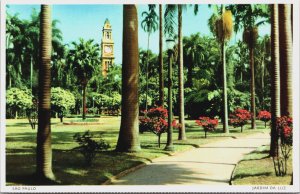 Brazil Sao Paulo Jardim Da Luz São Paulo Vintage Postcard C143