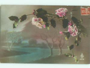 tinted rppc c1910 BEAUTIFUL FLOWERS AC8956