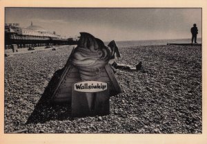 Wallsiwhip Ice Cream Cornet Advertising 1970s Brighton Beach Postcard