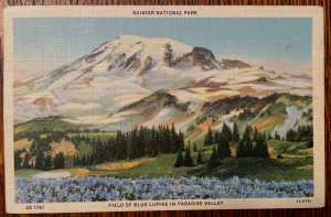 Vintage Postcard 1937 Ranier N'tional Park, Blue Lupine, Seattle, Washington WA