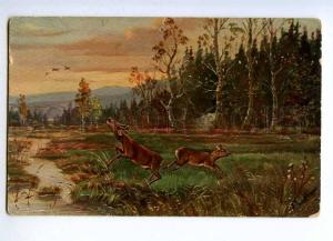 189181 Deer hunting in summer ALTSBERGER vintage postcard