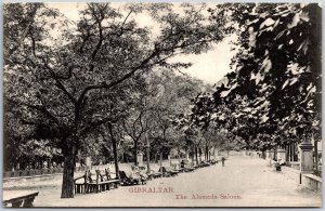 Gibraltar The Alameda Saloon Benches on Park Tree Shaded Area Postcard