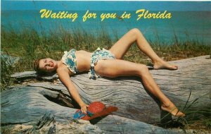 Sexy Bikini Girl laying on log hat Florida Natural Color Postcard 21-6924