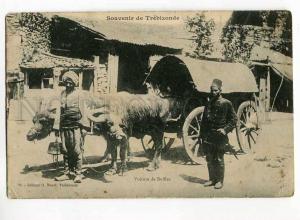 271058 TURKEY Trebizonde Buffalo Car Vintage Nouri postcard