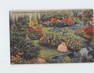 Postcard Southern Flowers Bloom In Cypress Gardens, Florida