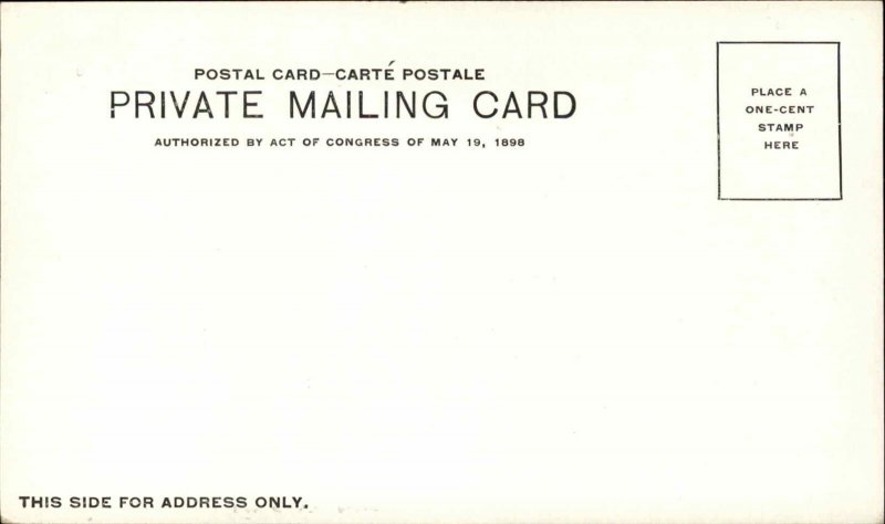 Denver Colorado CO Capitol US Mint Private Mailing c1900s-20s Postcard