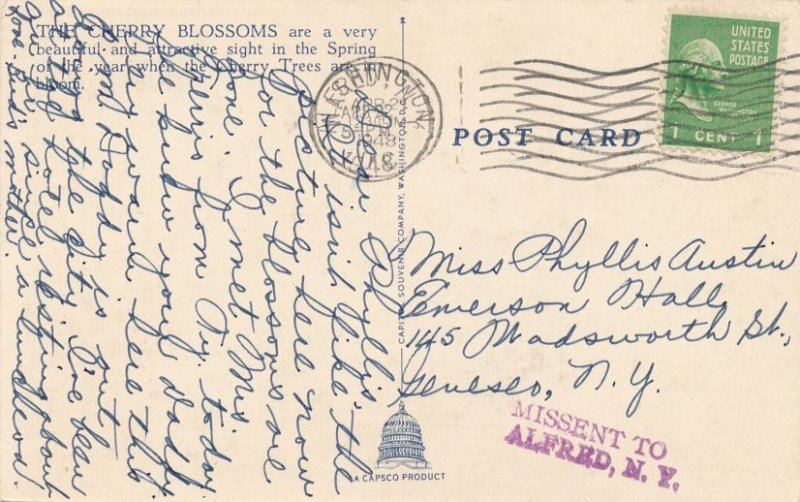 Cherry Blossom Time, Washington, DC - Spring Time View - pm 1948 - Linen