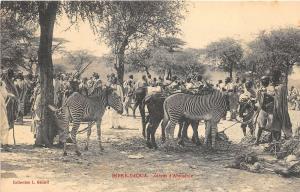 B91636 dirre daoua ethiopia africa zebras abyssinie types folklore