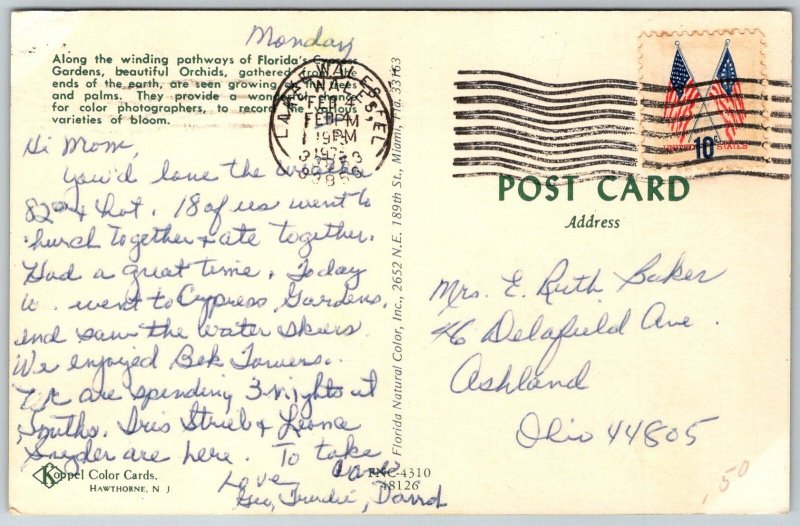 Cypress Gardens Florida 1973 Postcard Orchids